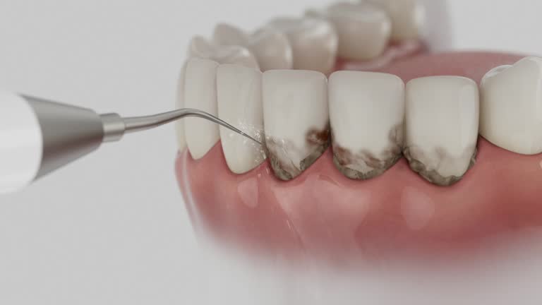 Reliable Dental contractor in Rock Port, MO by Dentist Open Now
